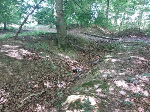 Un fossé de propriété en forêt de Retz