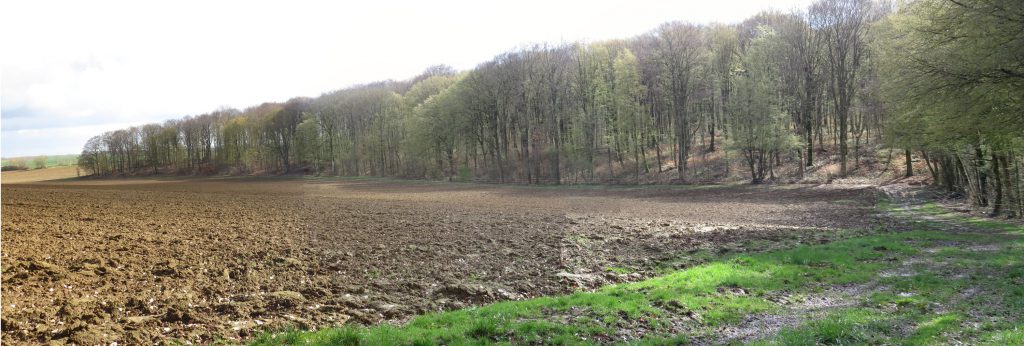 Panorama de la lisière forestière sur la commune de Fleury