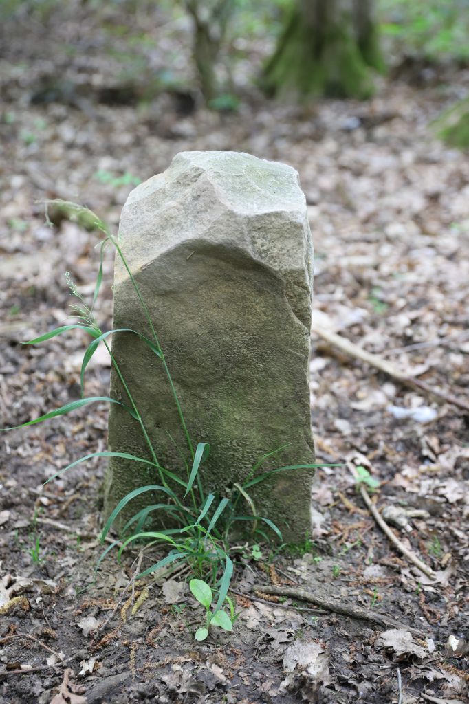 5 000 bornes en forêt de Retz