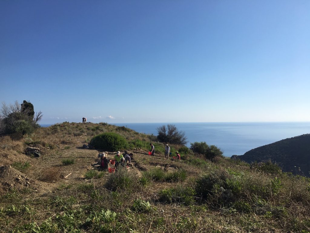 Vue vers le nord du plateau de l’acropole sud (MAFHA 2018)