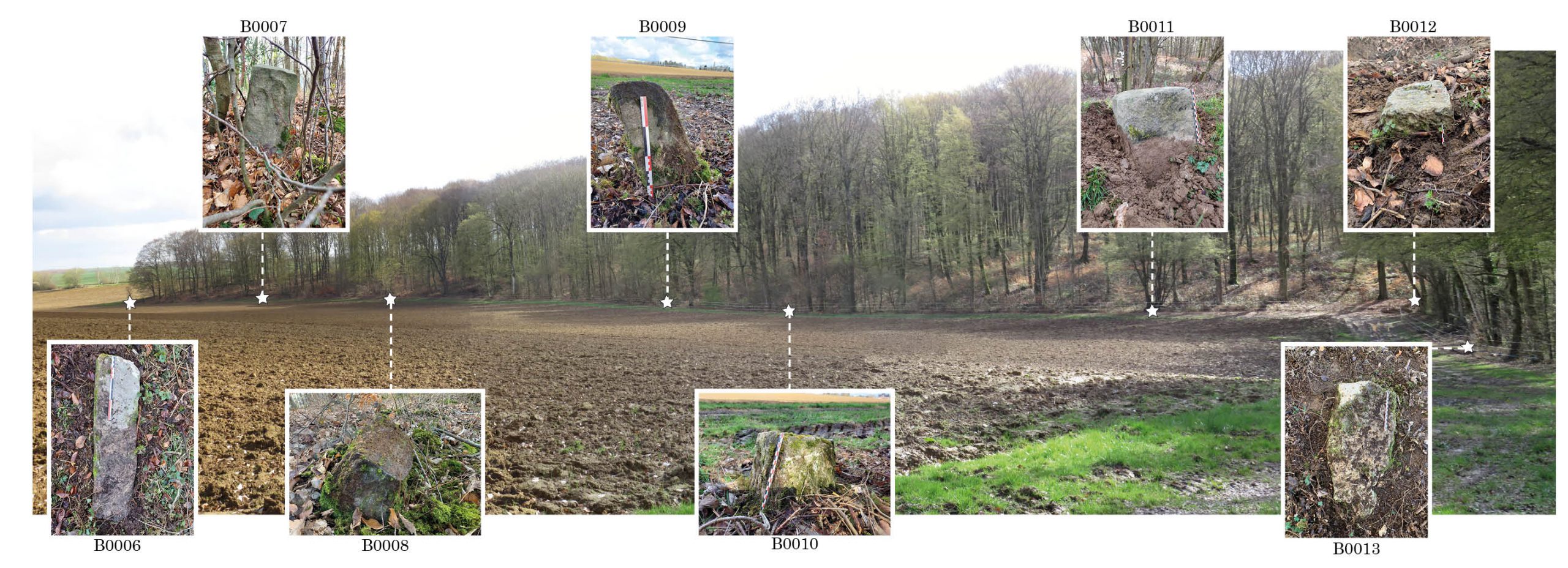 Panorama de la lisière forestière sur la commune de Fleury