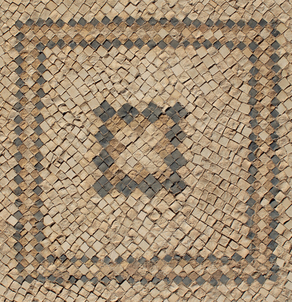 Détail du sol en mosaïque de la palestre (© N. Lamare. Mission archéologique à Sbeïtla).