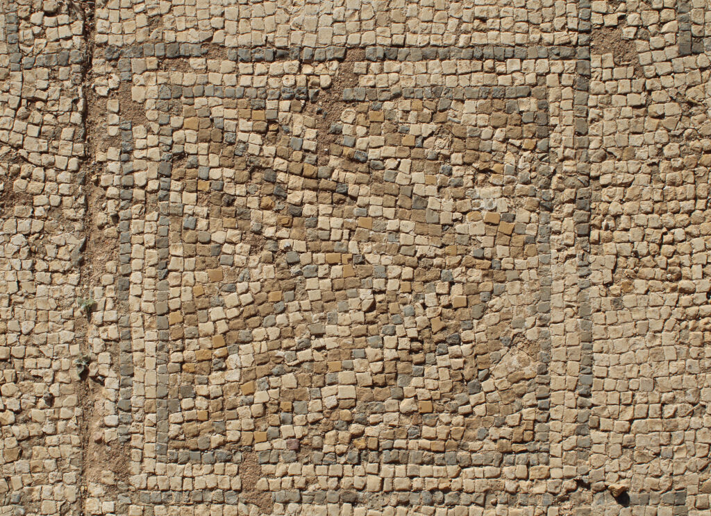 Détail du sol en mosaïque d'une salle des grands thermes (© N. Lamare. Mission archéologique à Sbeïtla).