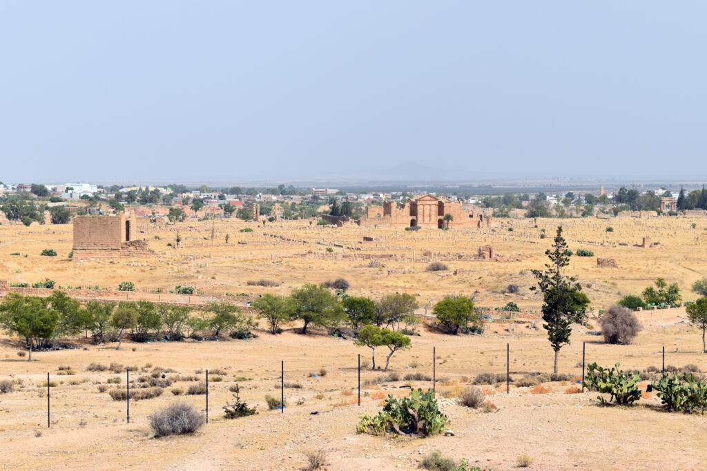 Vue du site vers l’Est (© N. Lamare. Mission archéologique à Sbeïtla).