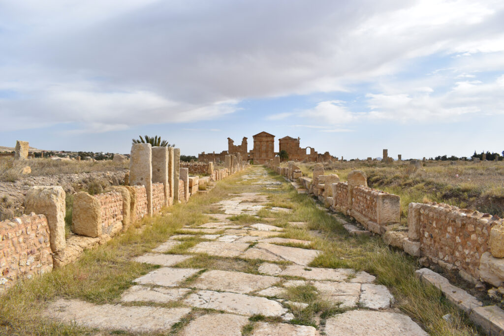 La rue principale Est-Ouest à l’arrière du forum (© N. Lamare. Mission archéologique à Sbeïtla).