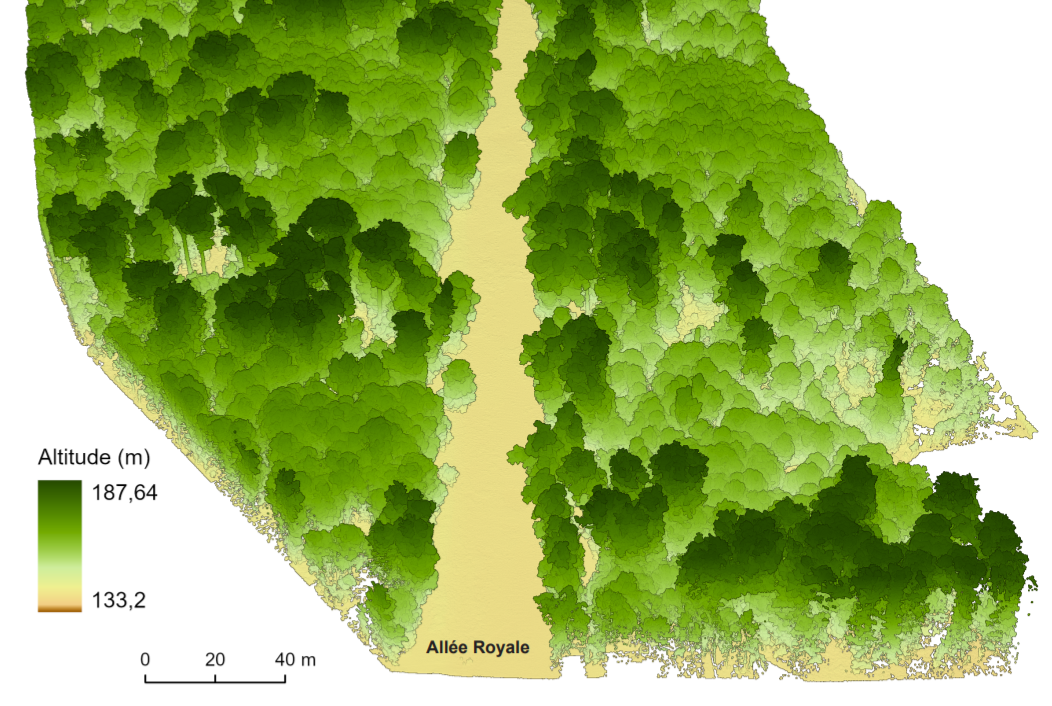 Un extrait du nuage de point acquis par drone au-dessus de l'Allée Royale
